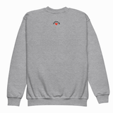 Blue sweatshirt with text on the back against a white background