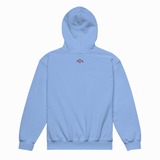 A light blue pullover hoodie shown from the back, featuring a small graphic with a red heart and the word 'PUPPY' printed in black on the upper back, set against a plain white background.
